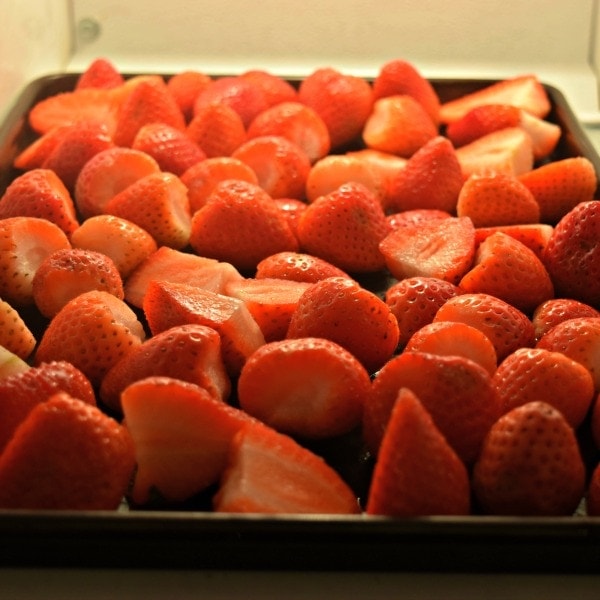 Tray of strawberries in the freezer