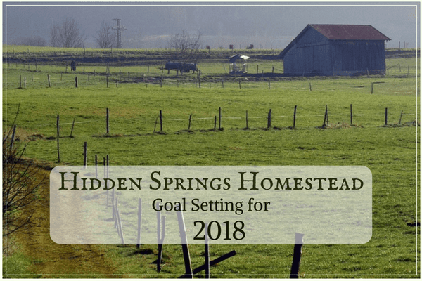 Goals for 2018 image
