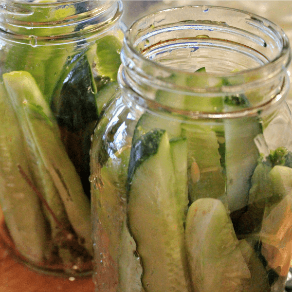 Sliced cucumbers packed into quart jars for making dill pickles
