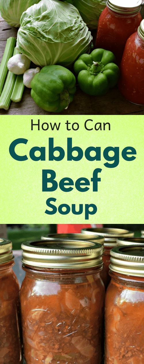 can cabbage beef soup Hidden Springs Homestead