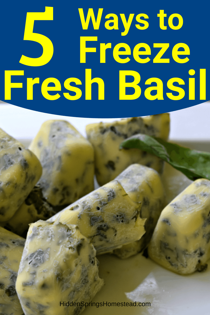 Pin Image for 5 Ways to Freeze Fresh Basil