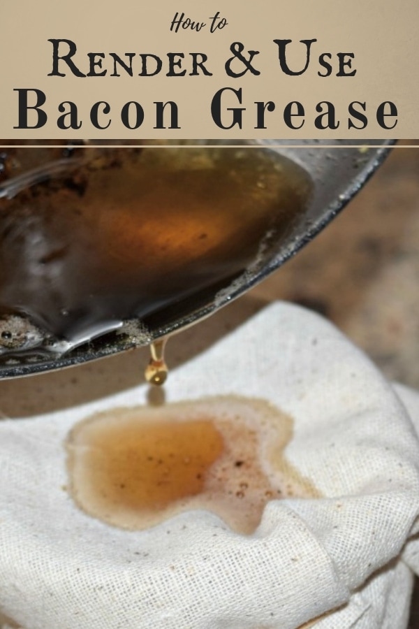 How to Store Bacon Grease Properly