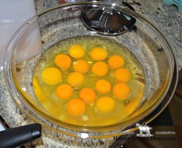 Mixing bowl of 15 eggs. Healthy Low Carb Egg Muffins. Hidden Springs Homestead