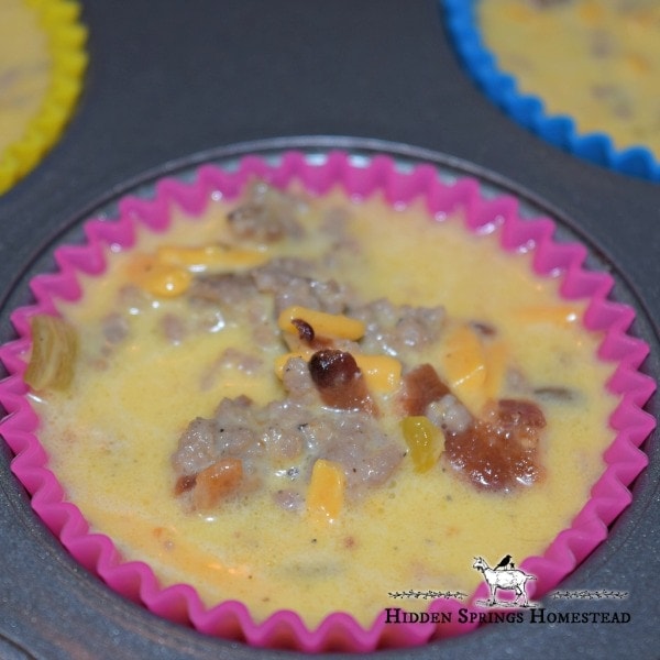 Low carb muffin recipe filled in a silicone cup ready to bake. Hidden Springs Homestead