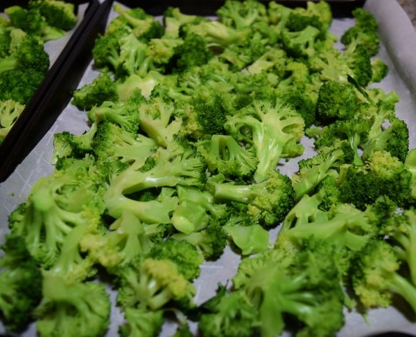 Flash freezing broccoli for freezing fresh broccoli   Hidden Springs Homestead