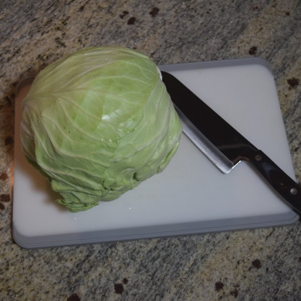 making sauerkraut with fresh cabbage Hidden Springs Homestead