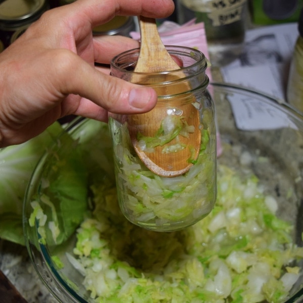 packing salted cabbage into mason jar for making homemade sauerkraut  Hidden Springs Homestead