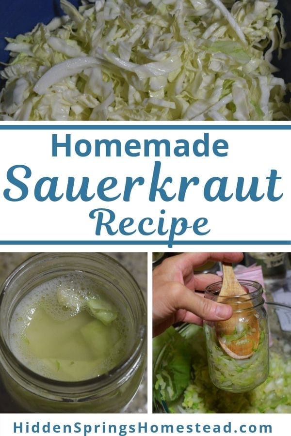 easy homemade sauerkraut in mason jars Hidden Springs Homestead