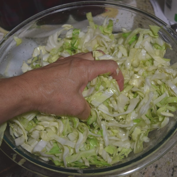 squeezing salted cabbage to make sauerkraut  Hidden Springs Homestead