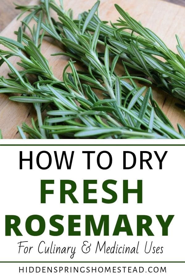 Fresh rosemary laying on a counter to start drying