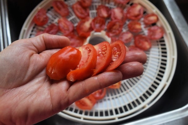 sliced Roma tomato in a hand  Hidden Springs Homestead