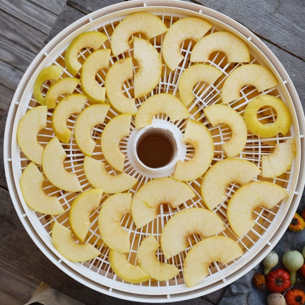 drying apple chips on a dehydrator tray