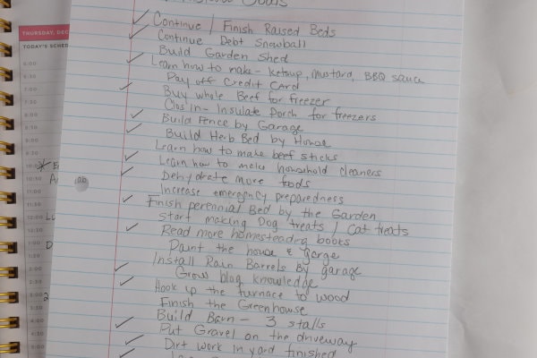 list of planned and set goals written on a sheet of paper some checked off, others not