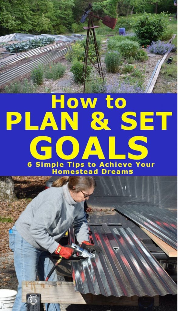 plan set goals for the new year