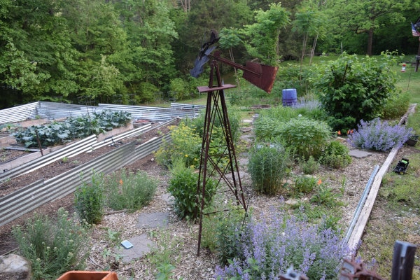 a planned goal from couple years back. pollinator garden with native plants. Year 2 of project.