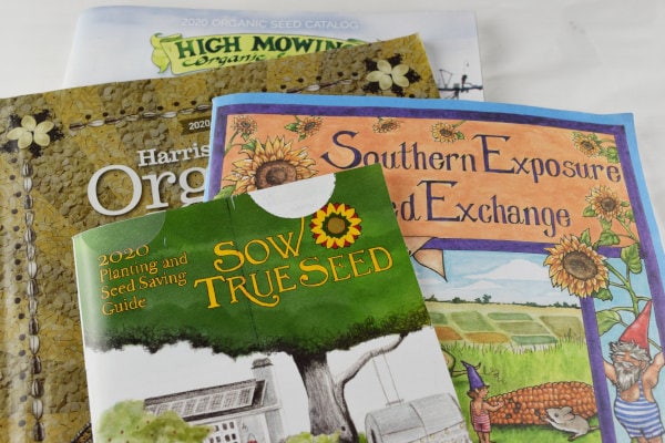 4 seed catalogs laying in a pile on a table.  