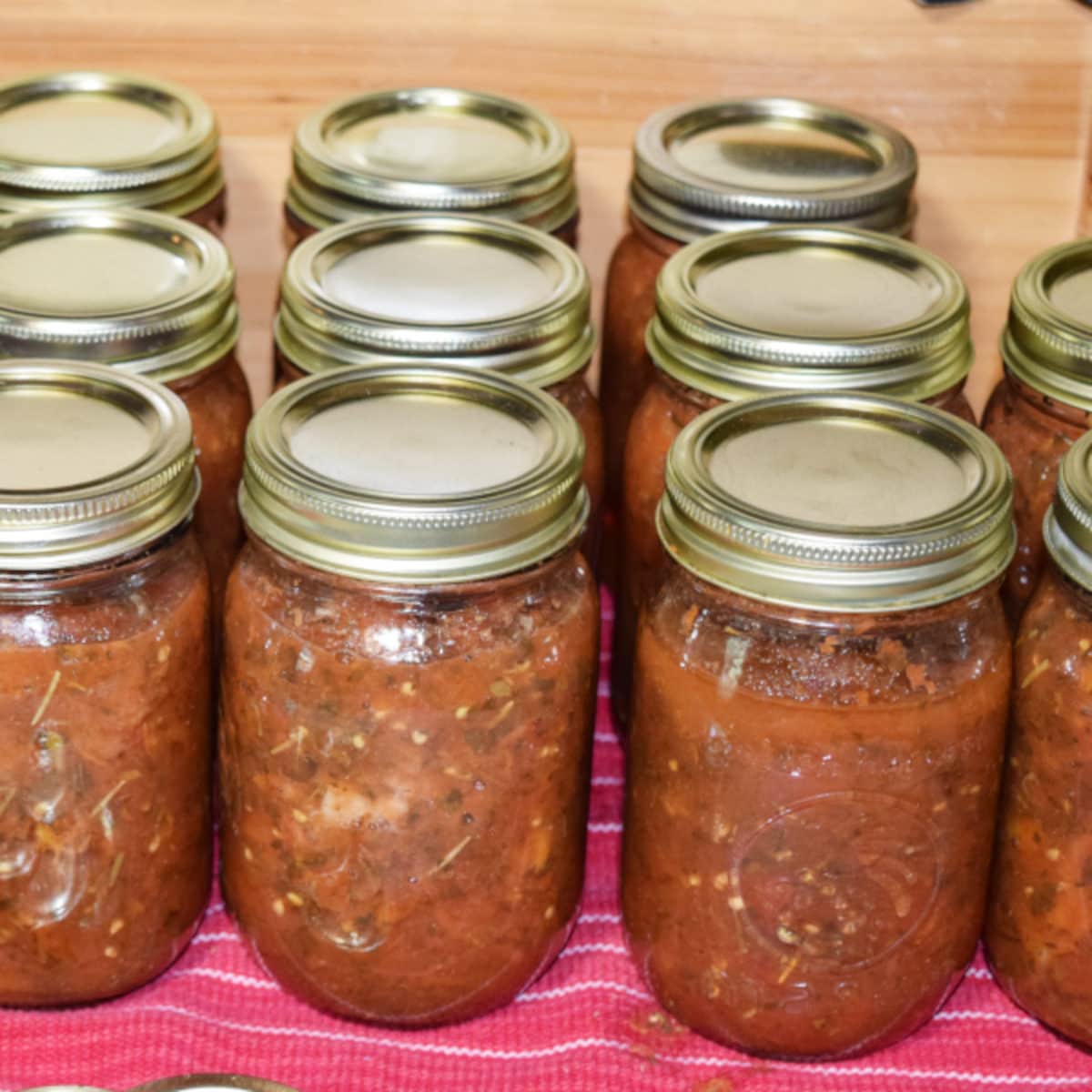 Homemade Pizza Sauce for Canning Recipe