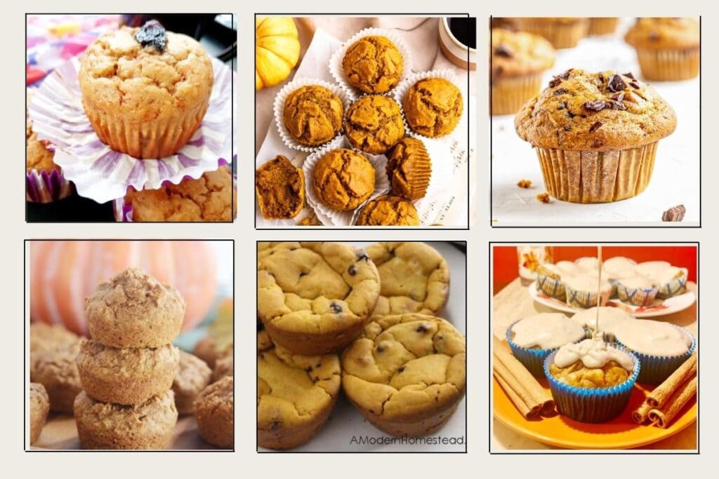Easy pumpkin muffin recipes – collage showing six variations perfect for fall baking.