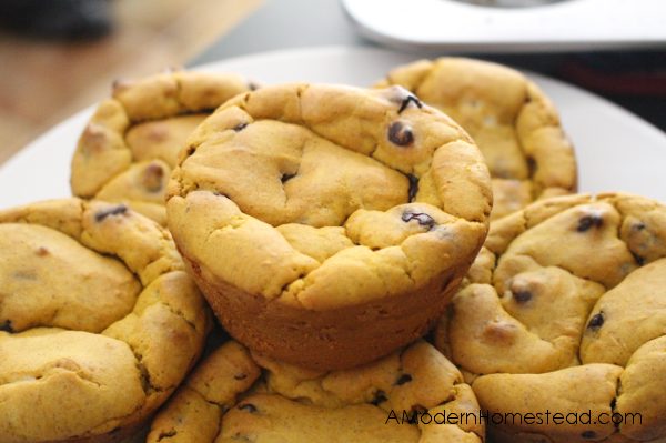 Image for Pumpkin Chocolate Chip Muffins