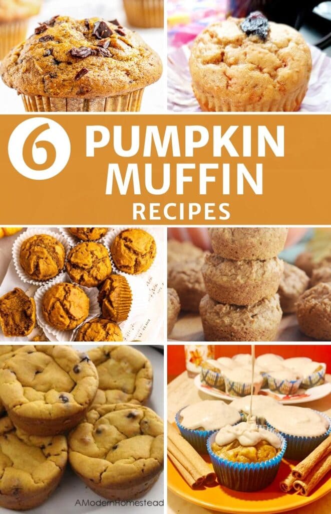 Pinterest pin collage with six pumpkin muffin recipes and text overlay reading 6 Pumpkin Muffin Recipes