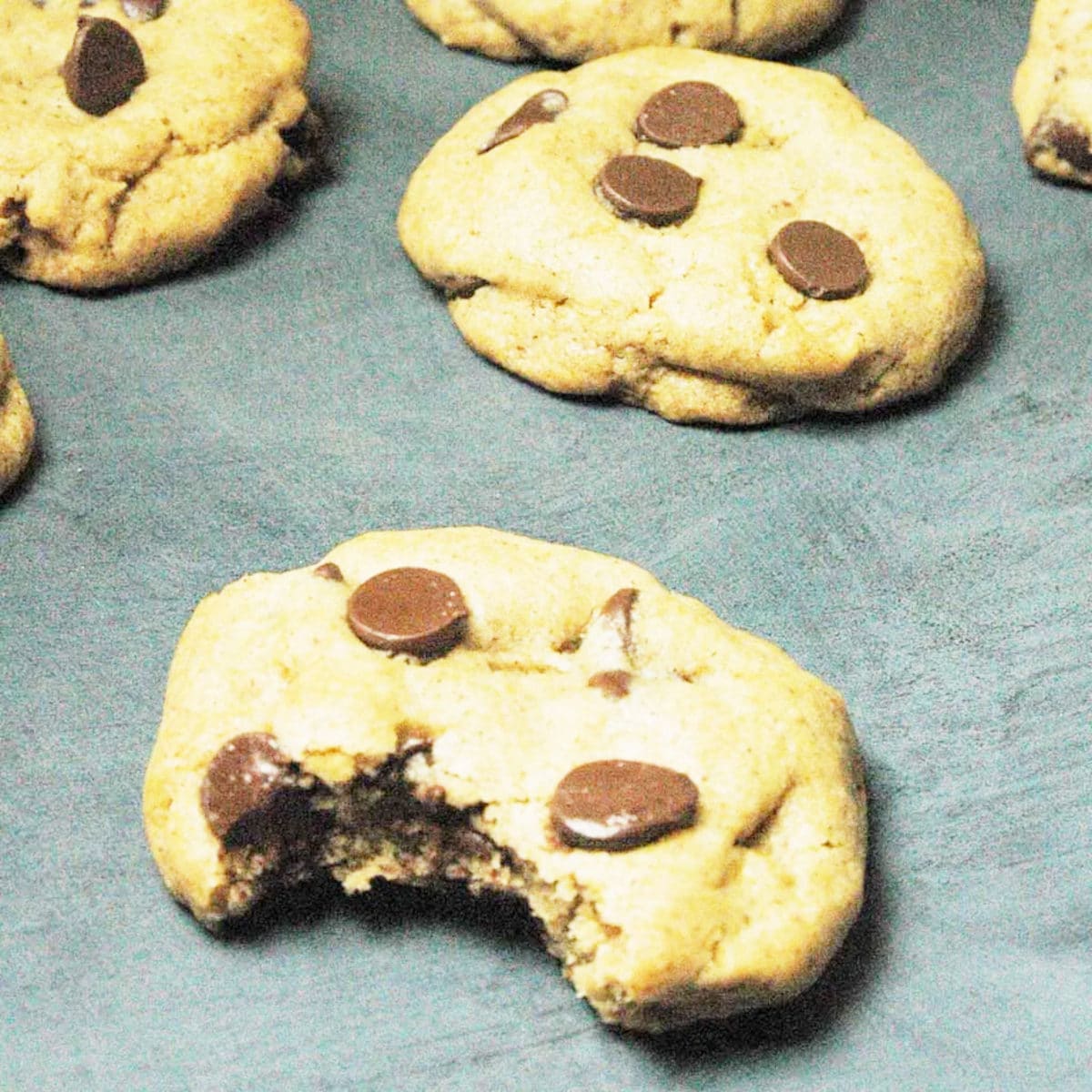 chocolate chip pumpkin cookies on a gray surface