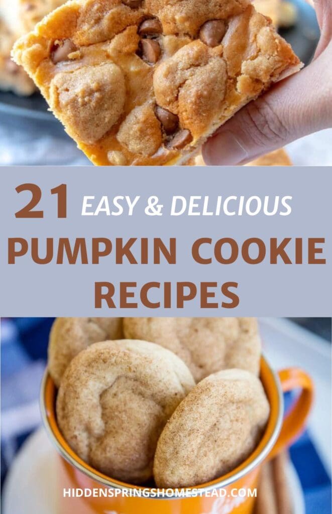 images of pumpkin cookies with text overlay that reads 21 Easy & Delicious Pumpkin Cookie Recipes