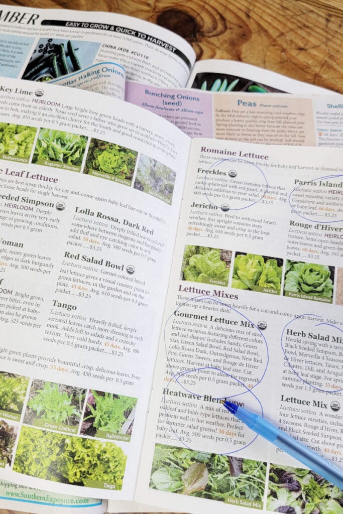seed catalogs opened to Lettuce Mixes with 3 varieties circled