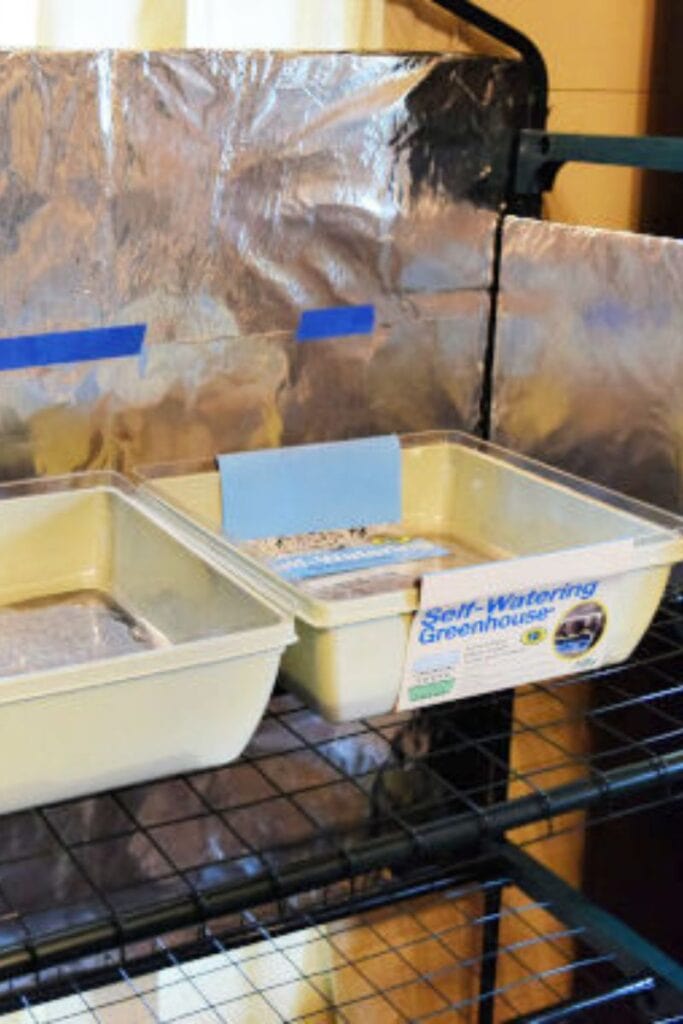 two seeds starting trays on a shelf