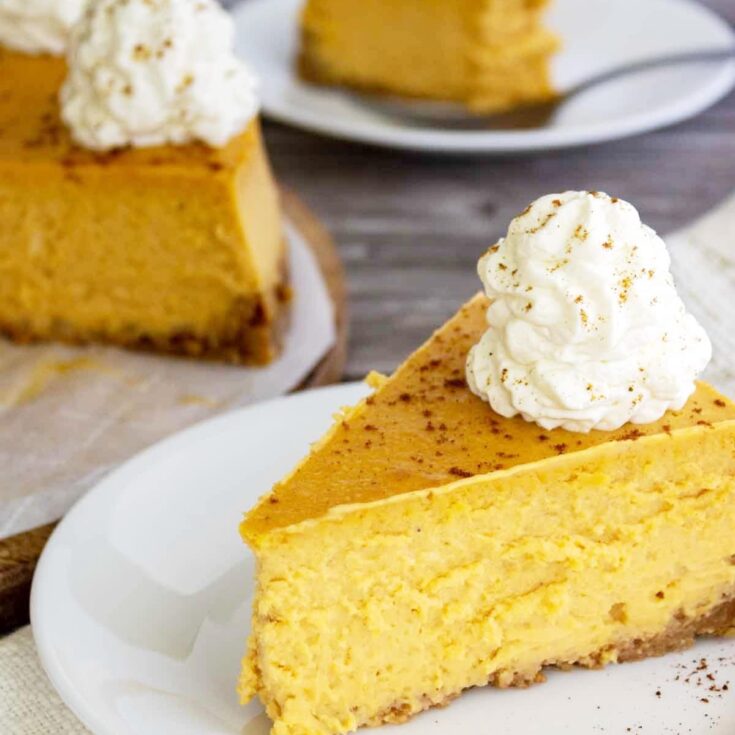 pumpkin cheesecake slice with cool whip on top