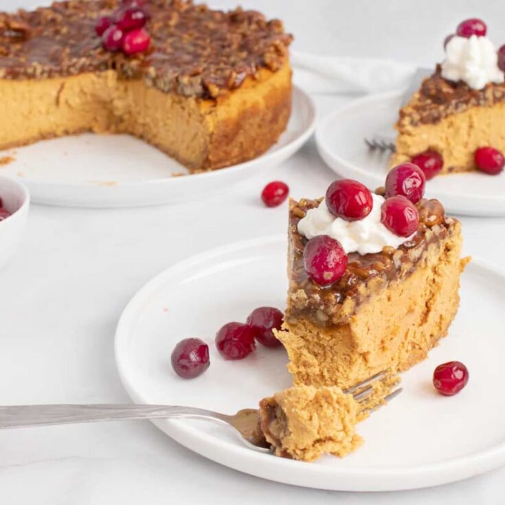 beautiful pumpkin cheesecake slice topped with cranberries and pecans