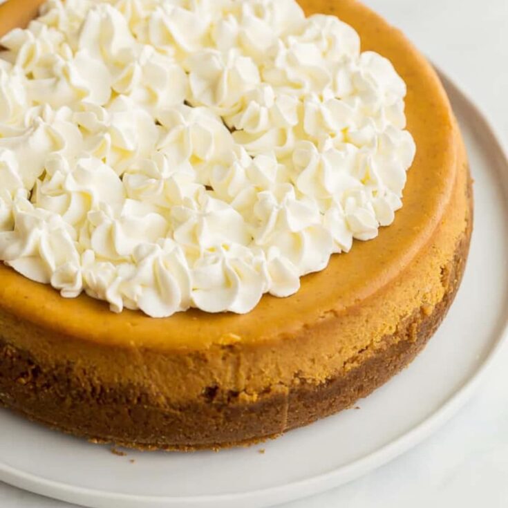 whole pumpkin cheesecake with decorated cool whip topping