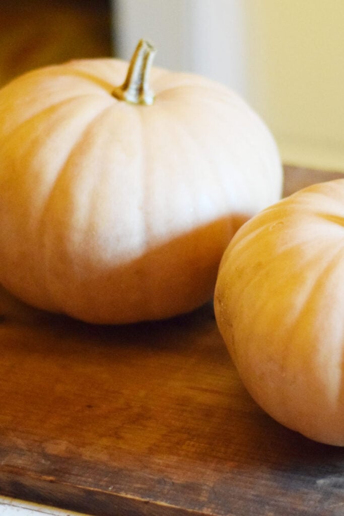 two old-fashioned sugar pumpkins on a wood cutting board
