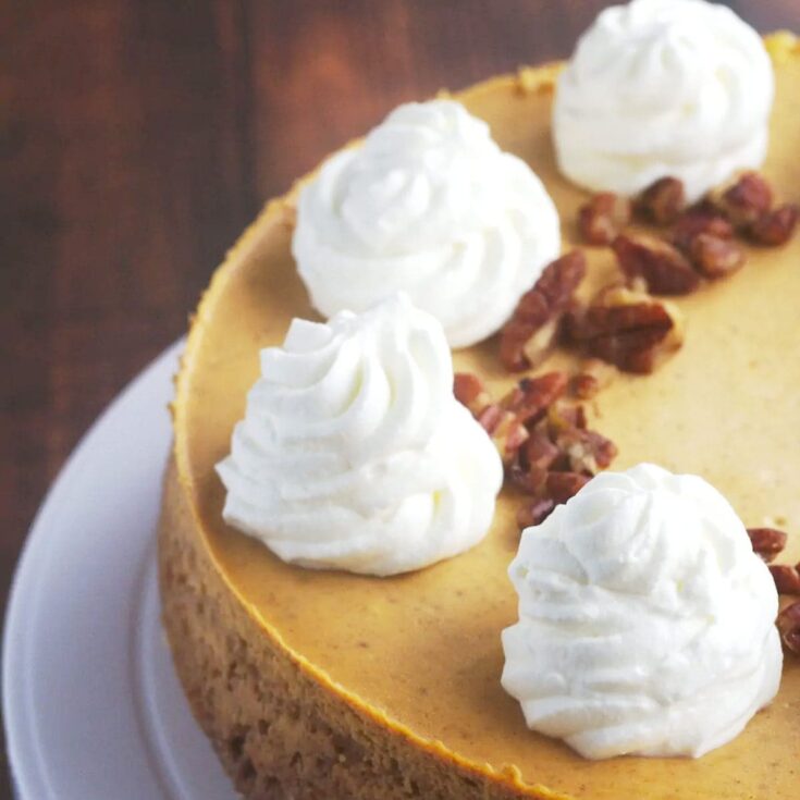 whole pumpkin spice cheesecake with dollops of cool whip on top