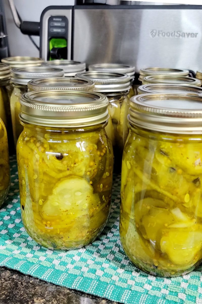 Perfect Bread and Butter Pickles Recipe for Canning · Hidden Springs ...