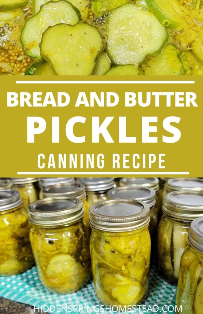 bread and butter pickles with text overlay