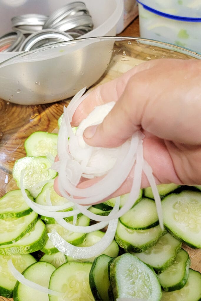 onions and cucumbers layered for making pickles