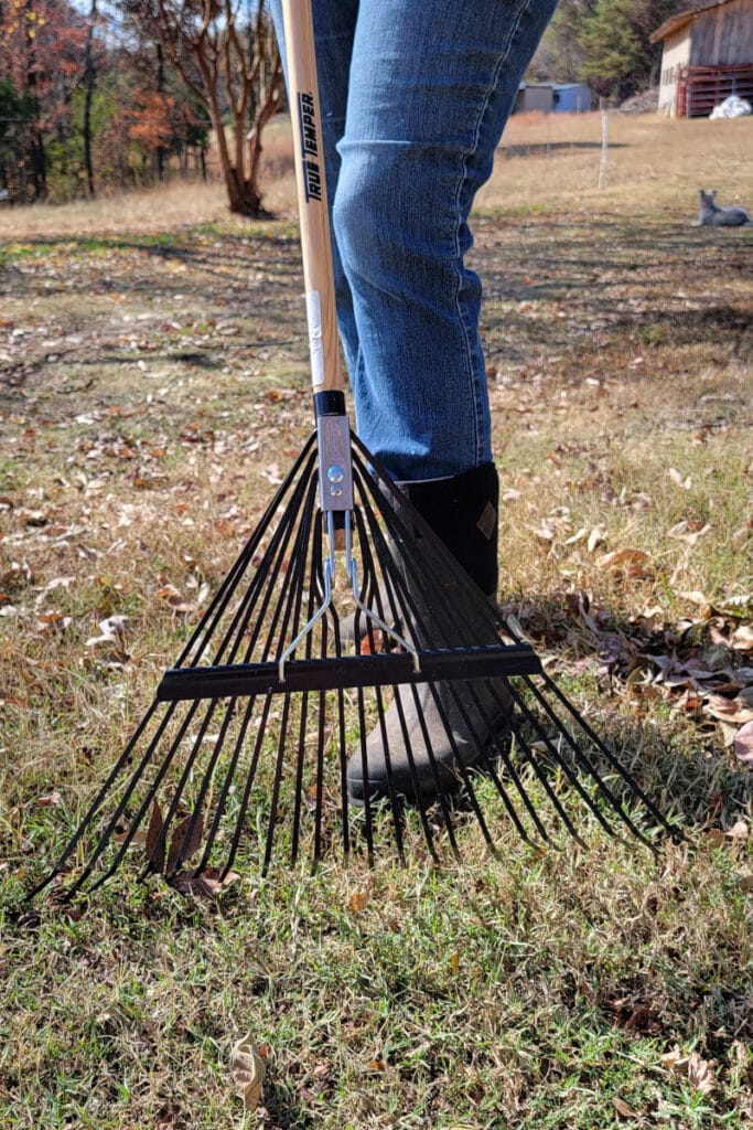 leaf rake with metal tongs in front of black boots
