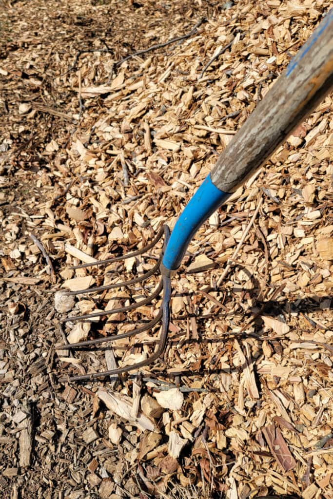 5 tine wood handle pitchfork in woodchips