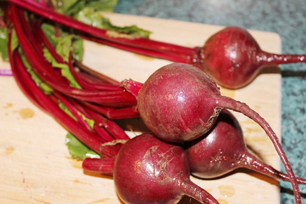 fresh fast growing fall vegetable